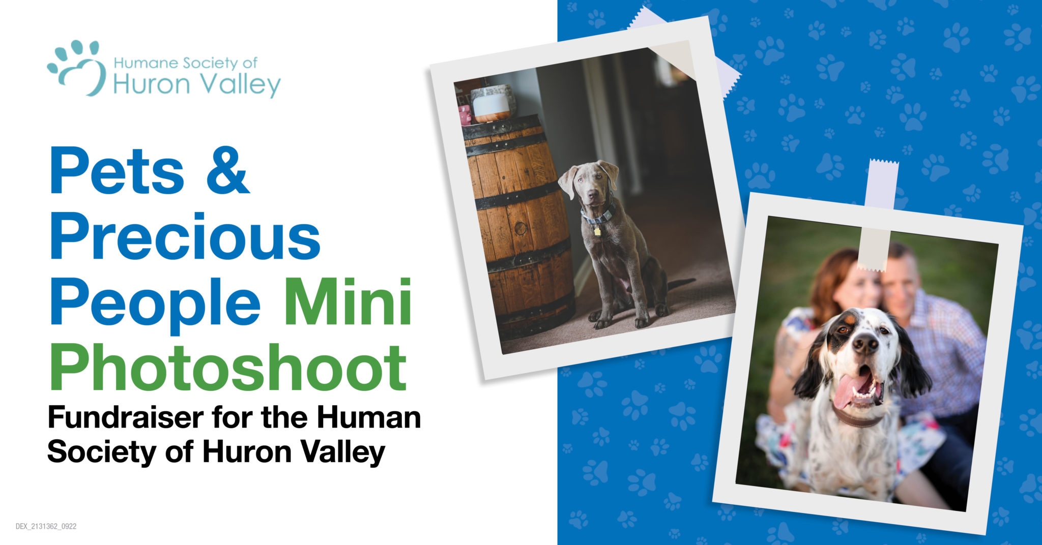 Pets & Precious People Mini Photoshoot